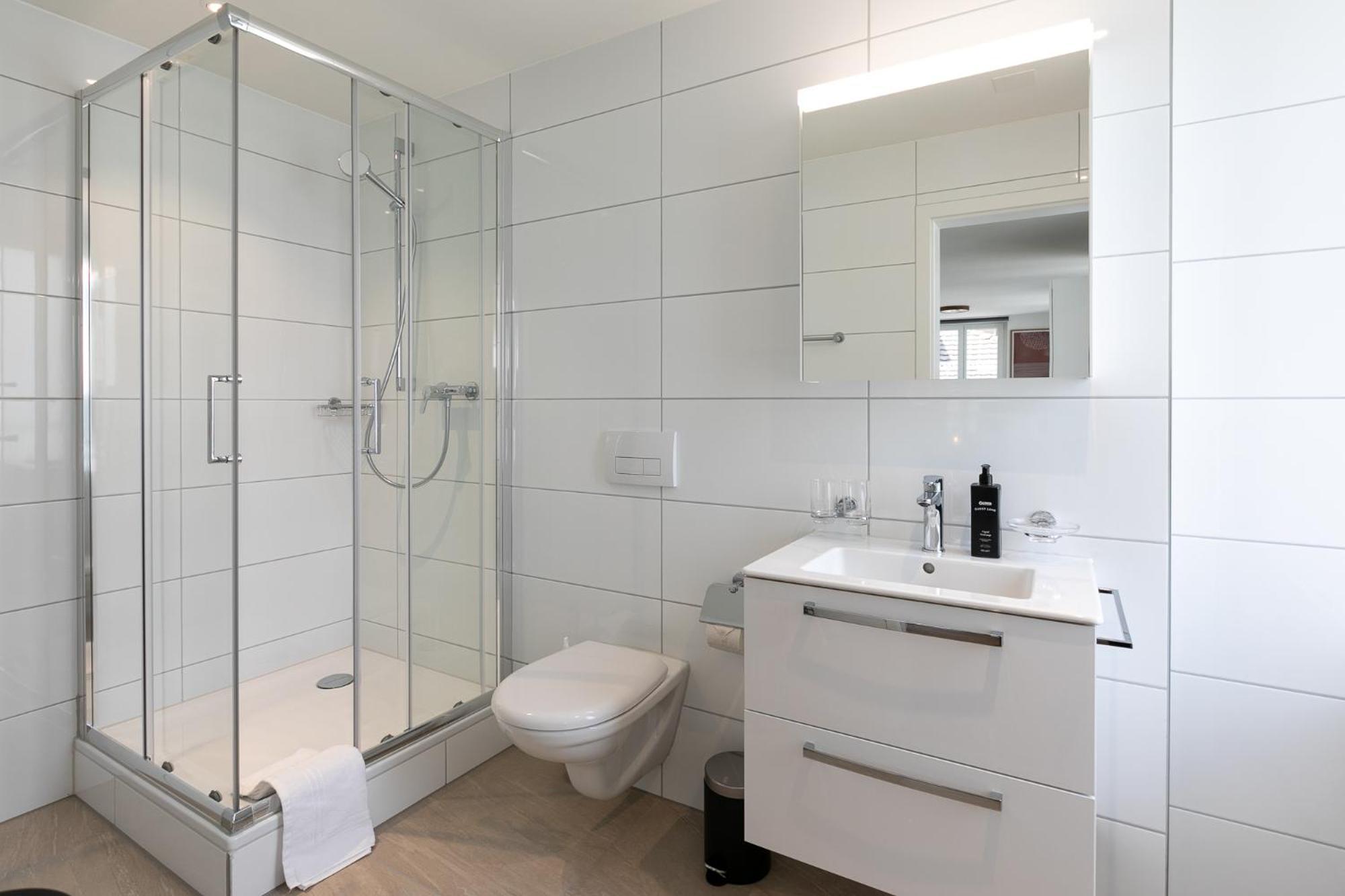 Inn Joy Apartments - Roter Platz سانت غالن المظهر الخارجي الصورة